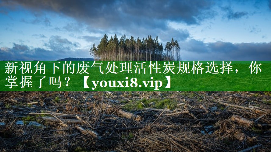 新视角下的废气处理活性炭规格选择，你掌握了吗？