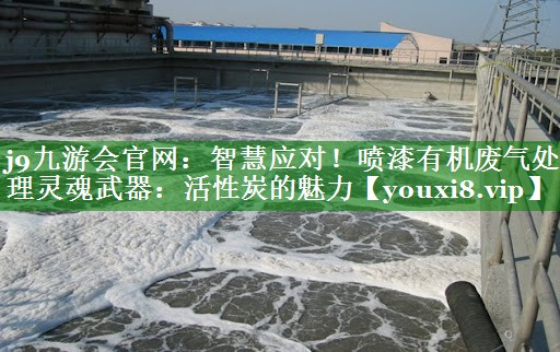 j9九游会官网：智慧应对！喷漆有机废气处理灵魂武器：活性炭的魅力