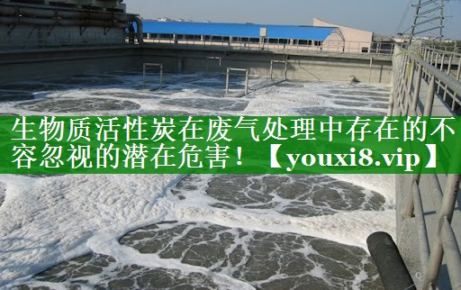 生物质活性炭在废气处理中存在的不容忽视的潜在危害！