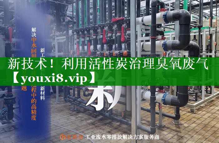 新技术！利用活性炭治理臭氧废气