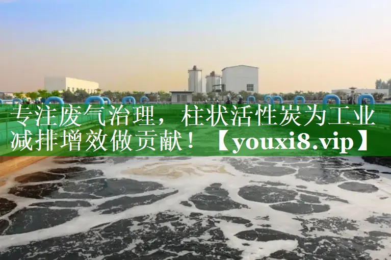 专注废气治理，柱状活性炭为工业减排增效做贡献！