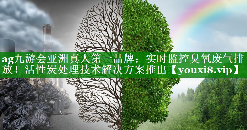 实时监控臭氧废气排放！活性炭处理技术解决方案推出