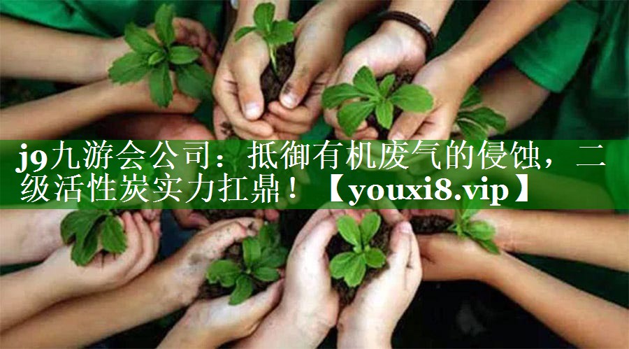抵御有机废气的侵蚀，二级活性炭实力扛鼎！