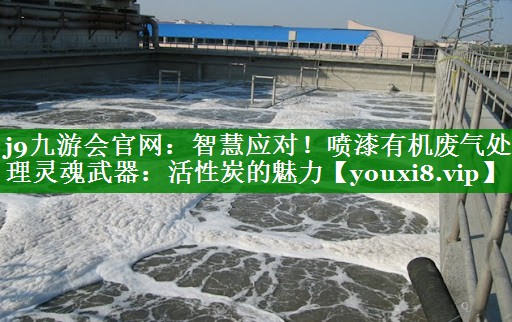 智慧应对！喷漆有机废气处理灵魂武器：活性炭的魅力