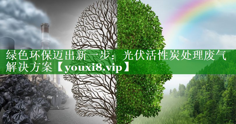 绿色环保迈出新一步：光伏活性炭处理废气解决方案